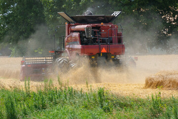 Wheat field harvested by a red combine.