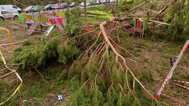 Trees broken from strong wind after heavy storm, lying on playground, circle pan