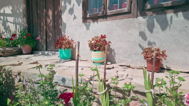 Colourful Flowers decorate pretty Bulgarian cottage garden patio