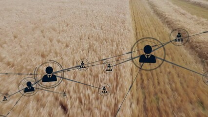 Network of connections and data processing animation over wheat field - Powered by Adobe