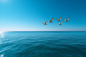 Beautiful birds flying over a calm ocean in a travel-themed image, with an emphasis on vast, open spaces