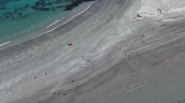 Couple on sandy beach of Tasmania beside turquoise clear ocean water in summer. Aerial top down shot.