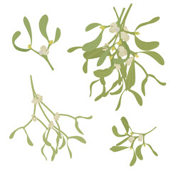 Set of mistletoe sprigs on a white background. Vector illustration