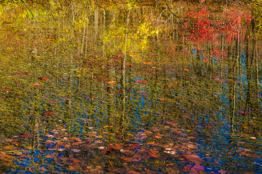 Reflection Backgrounds Images – Browse 6,239,239 Stock Photos, Vectors ...