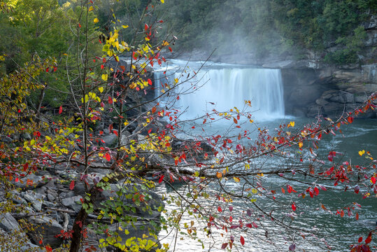 USA, Kentucky. Cumberland Falls behind Fall foliage