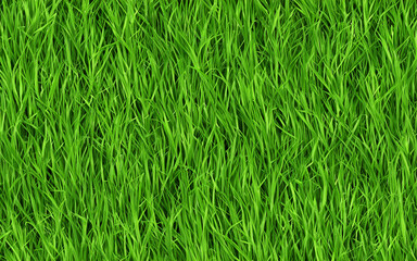 Obraz premium green grass texture background