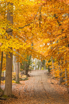 USA, Maine, Bayside. Bayview Cottages, oceanside community at a former religious themed resort during autumn.