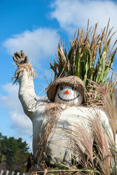 USA, Massachusetts. Decorative scarecrow.
