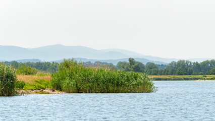 Fototapeta premium View of the mountains and the shore of the lake with tall reeds, landscape on a sunny summer day.
