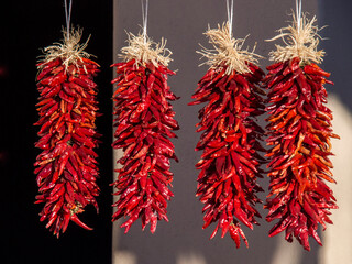 USA, New Mexico, Sante Fe. Chili peppers hanging on display in Sante Fe.