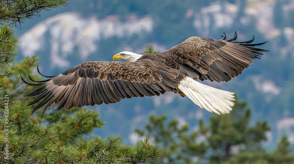 Sticker  A majestic bald eagle soars over a pine tree against a scenic mountain backdrop, its wings fully spread