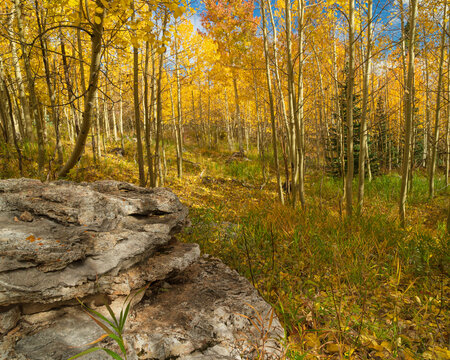 10k Trailhead on a fall day, Sandia Mountains, Cibola National Forest, New Mexico