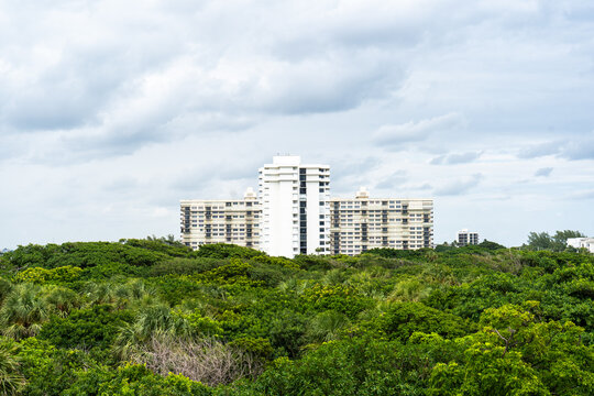 Building in the Jungle 