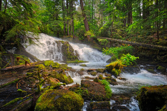 USA, Oregon, Prospect. Pearsony Falls near the Prospect State Scenic Viewpoint.