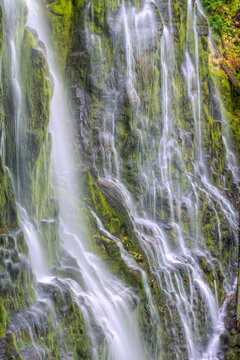 USA, Oregon, Three Sisters Wilderness Area. Lower Proxy Falls.