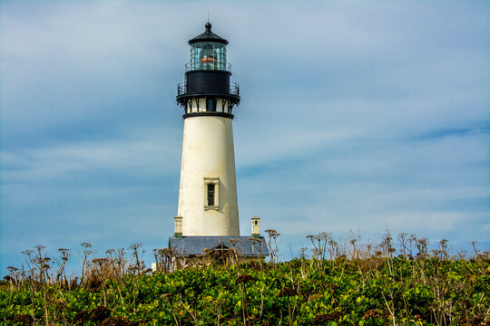 Yaquina Head Lighthouse, Yaquina Head Outstanding Natural Area, Newport, Oregon, USA