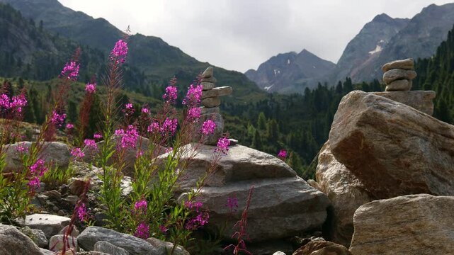the beautiful nature of the austrian alps 4k 25fps video