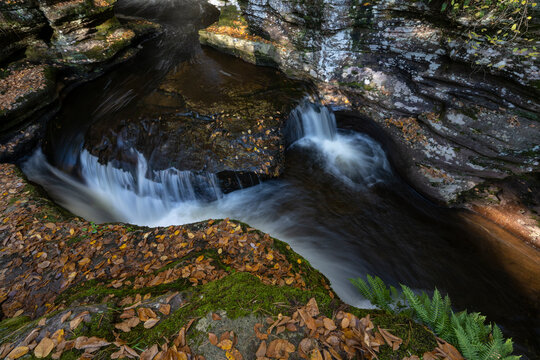 USA, Pennsylvania. Ricketts Glen State Park, Adams Falls is one of 22 named waterfalls in this park.