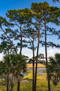 USA, South Carolina. Kiawah Island, early morning.