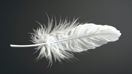A simple yet striking image of a white feather against a dark background, perfect for use in designs where you need to grab attention