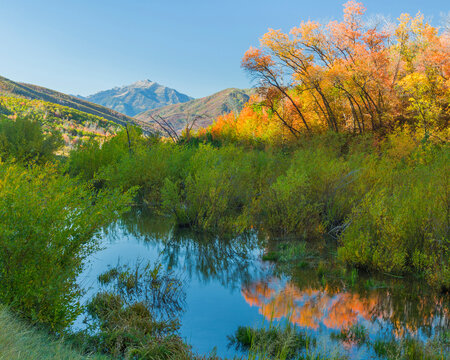 USA, Utah, Wasatch Cache National Forest. Reflection of fall colors in stream. 