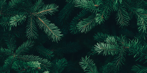 Beautiful Christmas banner Background with green fir tree brunch close up. Copy space, moody dark toned design for seasonal quotes. Vintage December wallpaper. Natural winter holiday forest backdrop
