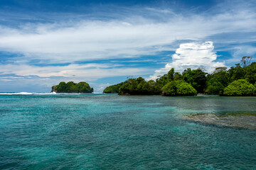 Stunning Tropical Island in Bocas del Toro, Panama with Crystal Clear Caribbean Waters, Lush Green Forest, and Vibrant Coastal Scenery, A Paradise for Nature Lovers and Eco-Tourism Enthusiasts