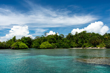 Stunning Tropical Island in Bocas del Toro, Panama with Crystal Clear Caribbean Waters, Lush Green Forest, and Vibrant Coastal Scenery, A Paradise for Nature Lovers and Eco-Tourism Enthusiasts