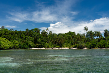 Stunning Tropical Island in Bocas del Toro, Panama with Crystal Clear Caribbean Waters, Lush Green Forest, and Vibrant Coastal Scenery, A Paradise for Nature Lovers and Eco-Tourism Enthusiasts