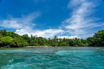 Stunning Tropical Island in Bocas del Toro, Panama with Crystal Clear Caribbean Waters, Lush Green Forest, and Vibrant Coastal Scenery, A Paradise for Nature Lovers and Eco-Tourism Enthusiasts