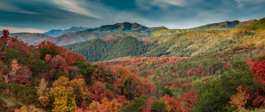 Multicolored fall panoramic landscape, Wasatch Mountains, near Park City and Midway, Utah, USA.