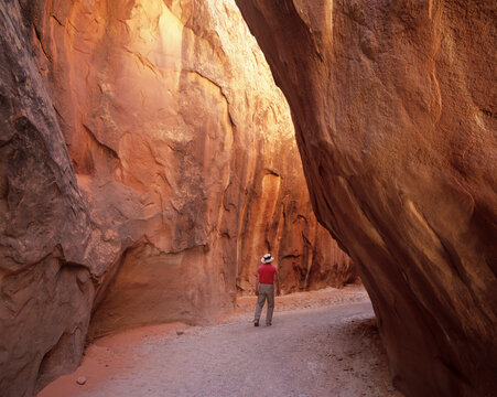 UT, Grand Staircase Escalante NM, Dry Fork Narrows, slot canyon at Dry Fork Coyote Gulch (Large format sizes available) (MR)