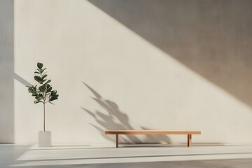 A simple and elegant room with a wooden bench a plant and a vase sitting on it. a dreamy minimal style indoor