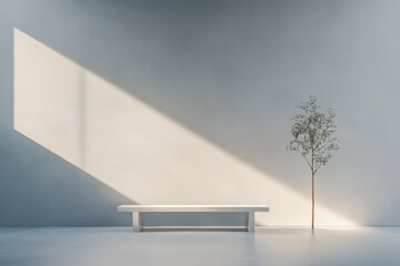 A simple and elegant room with a wooden bench a plant and a vase sitting on it. a dreamy minimal style indoor