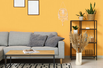 Interior of beautiful living room with cozy sofa, shelving unit, pampas grass and coffee table