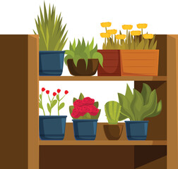 Variety of houseplants are arranged neatly on a wooden shelf