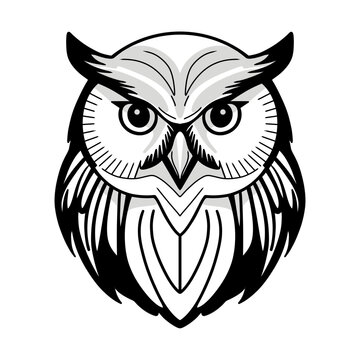 recommend clip art: owl line art