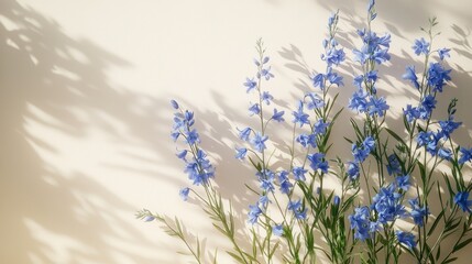 Blue Flowers with Shadows on White Background