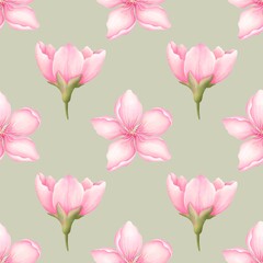 Obraz premium Watercolor seamless pattern with Sakura illustration. Flower digital paper isolated on white background.Digital paper,wallpaper,scrapbook.