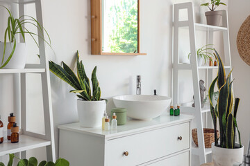 Chest of drawers with houseplants, sink and bottles of cosmetic products in light bathroom