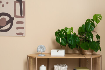 Modern interior of living room with tropical monstera leaves in pot on chest of drawers, closeup