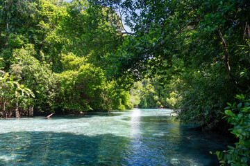 Stunning Tropical Island in Bocas del Toro, Panama with Crystal Clear Caribbean Waters, Lush Green Forest, and Vibrant Coastal Scenery, A Paradise for Nature Lovers and Eco-Tourism Enthusiasts