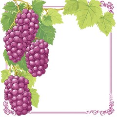 Obraz premium Grapes and Vines Corner Frame