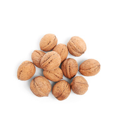 Many tasty walnuts on white background