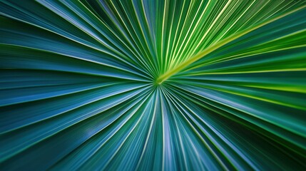 Obraz premium Close-Up of Radiating Green Leaf - Green Transition Concept