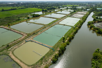 Aerial view from flying drone of Fish pond, fish farm