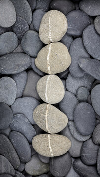 USA, Washington State. Rocks aligned in a row.