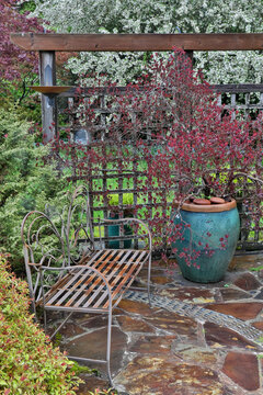 Wooden screen, bench and potted smoke bush with deer proof shrubs and trees, Sammamish, Washington State.