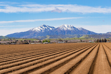 Freshly plowed farmland; Mount Diablo covered in snow in the background; Brentwood, San Francisco...
