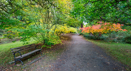 USA, Washington State, Seattle. Washington Park Arboretum in the fall with trail leading into autumn colored trees